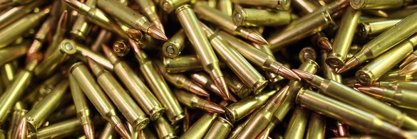 cropped_223_ammo