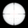 sight-picture